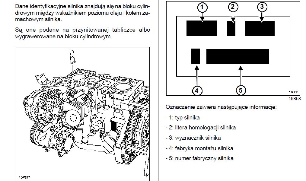 Tabliczka Znamionowa W Renault Megane