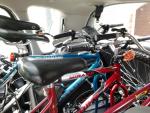 thumb_hosting_zdjec_1403637276__2014-06-24_191735_800x600.jpg