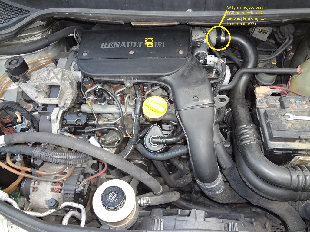 Wycieki oleju 1.9dci F9Q 1.9 diesel FORUM Renault