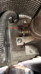 02 Widok z tyłu.jpg