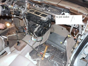 23555433_1475779262554958_1346602076_o (1).jpg