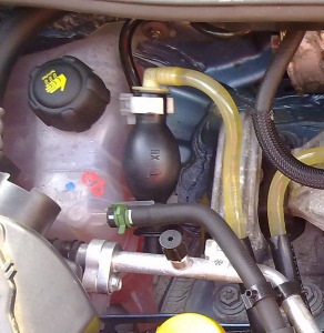 2015-04-27 ogolne 14.jpg