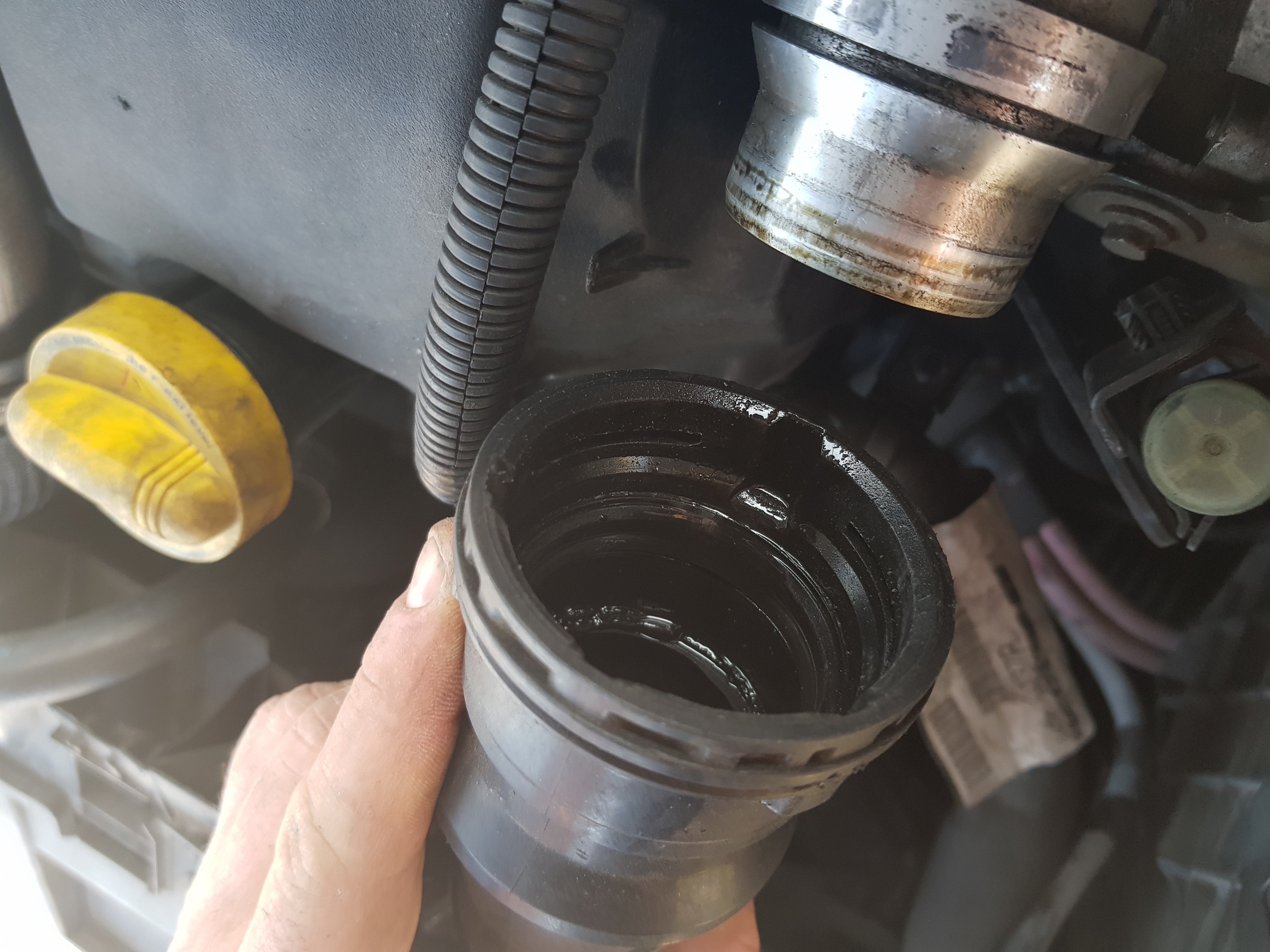 Wyciek oleju w dolocie 1.5 diesel FORUM Renault Megane