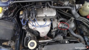 czesci-silnika-osprzet-renault-megane-16e-8v-lodzkie-sprzedam-418961857 (1).jpg