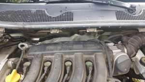 2018-06-27 07.37.54.jpg