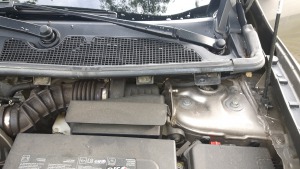 2018-06-27 07.37.58.jpg