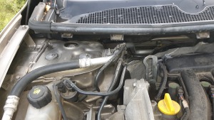 2018-06-27 07.37.50.jpg