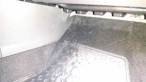 2018-06-27 07.38.41.jpg