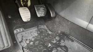 2018-06-27 07.38.22.jpg