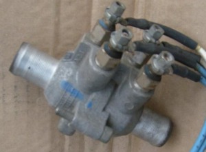 grzałka nurnikowa.jpg