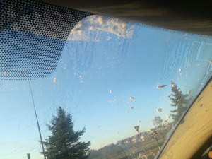 Szron na przedniej szybie.jpg