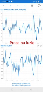 Praca silnika na luzie.jpg