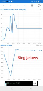 Bieg jałowy.jpg