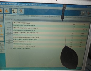 dpf przed wypalaniem .jpg