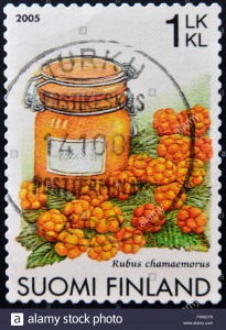 finland-circa-2005-a-stamp-printed-in-finland-shows-cloudberry-rubus-FW6DY8.jpg