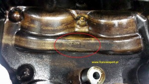 pokrywa liznięta.JPG