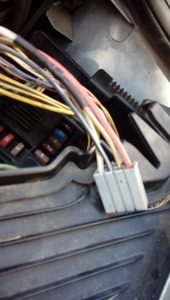 20201003_131849  kostka szara x4.jpg