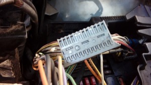 20201003_131212  kostka szara.jpg