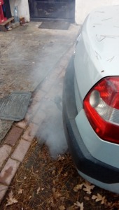 20210107_140540 Megan dym.jpg