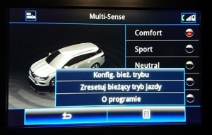 Podstawowe menu MS.jpg