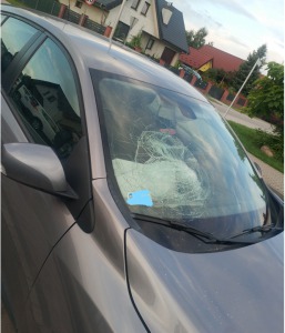 InkedZrzut ekranu 2021-08-16 180543_LI.jpg