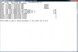 megane print scr.png