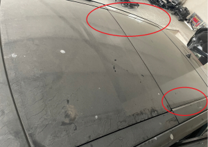 SCENIC III SZKLANY DACH.jpg