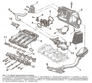 Megane uklad ssacy.jpg