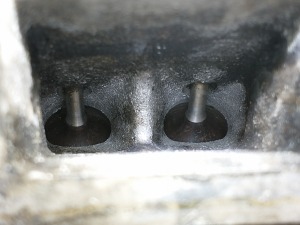 IMG_20230213_150234735 — kopia.jpg