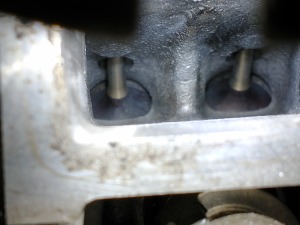 IMG_20230213_131643212 — kopia.jpg