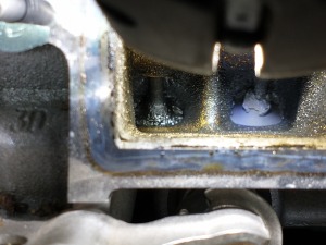 IMG_20230213_084906749 — kopia.jpg