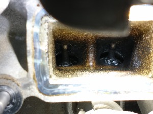 IMG_20230213_085012303 — kopia.jpg