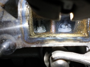 IMG_20230213_084852140 — kopia.jpg