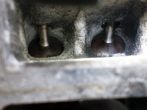 IMG_20230213_150359297 — kopia.jpg