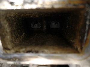 IMG_20230213_084735450 — kopia.jpg