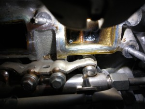 IMG_20230213_084831829 — kopia.jpg