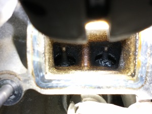 IMG_20230213_085033132 — kopia.jpg