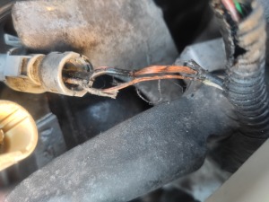 przewody wtyczki.jpg