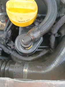 437590320_340016879136868_3459197730233758862_n (1).jpg