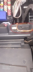 WhatsApp Image 2024-10-20 at 12.03.57.jpeg