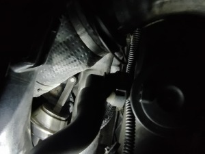 Zdjęcie WhatsApp 2025-02-24 o 19.20.19_7307f0fc.jpg