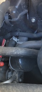 20250308_152703_resized (1).jpg