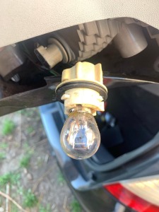 WhatsApp Image 2025-04-08 at 17.06.02.jpeg